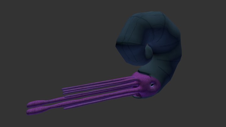 Ammonite 3D Model