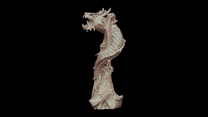 Dragon by Revopoint POP 3D Model