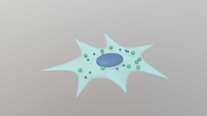 Mesenchymal stem cell 3D Model