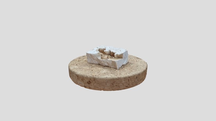 カニ化石 3D Model