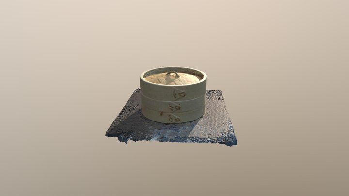 my 1st photo here 3D Model
