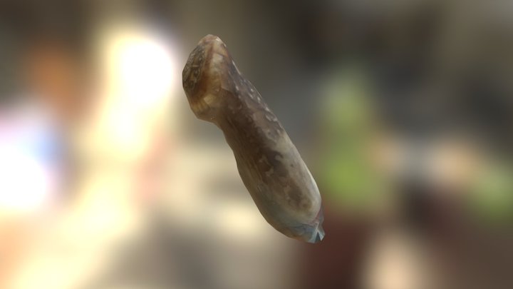 bone knife 1 3D Model