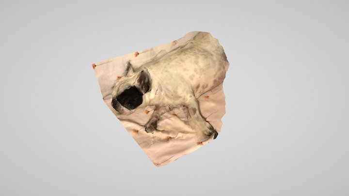 Noa 3D Model
