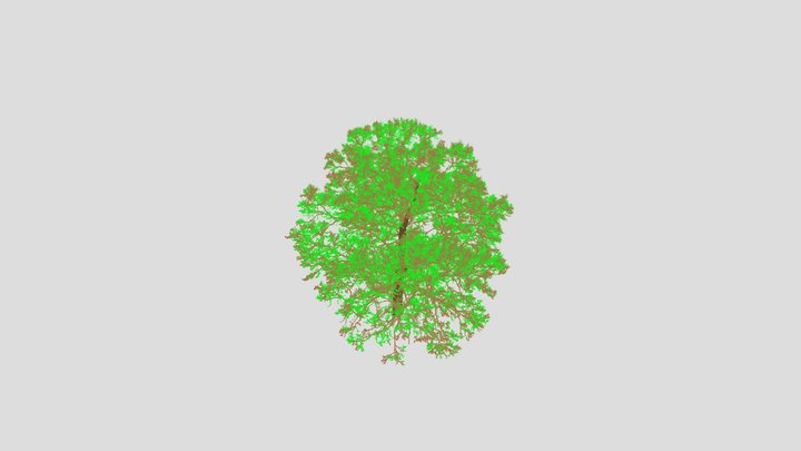 Tree 0005 3D Model