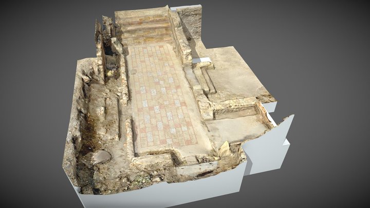 Mosaico de las Termas Orientales. 3D Model