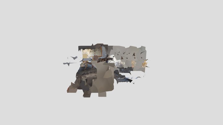 BYU Tarbo rough 3D Model