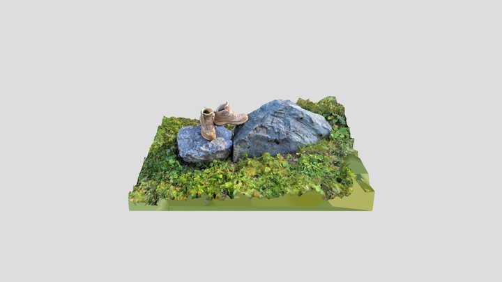 Hiking Shoes - Jack Wolfskin 3D Model