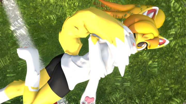 field vixen 3D Model