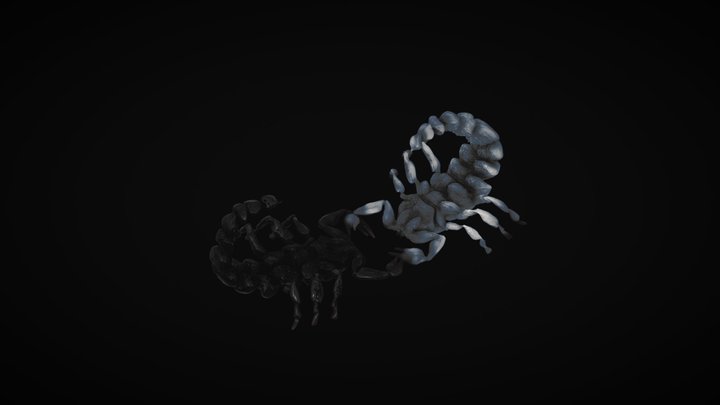 Scorpions 3D Model