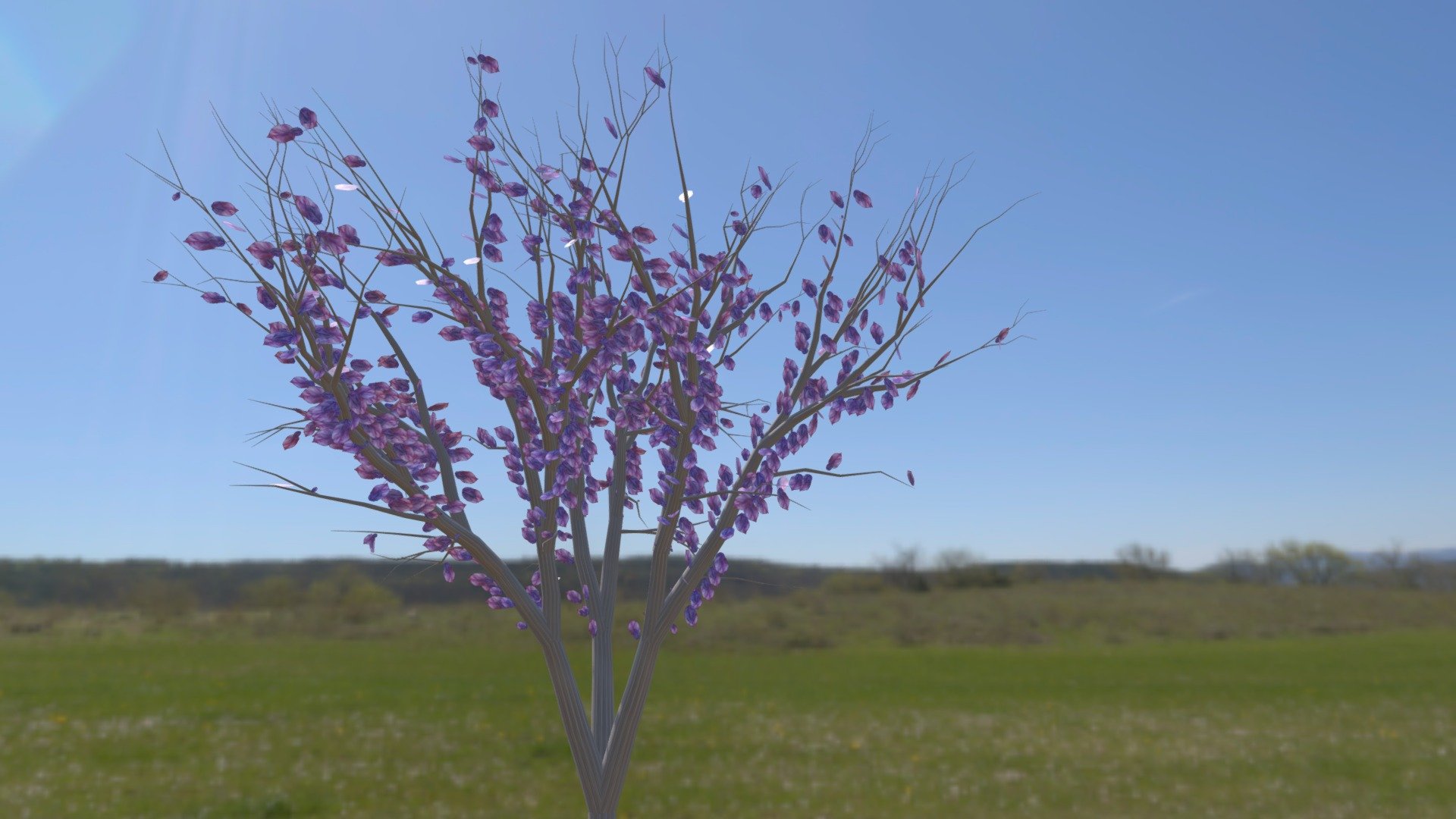 [ FREE ] Cherry Blossoms🌸 - Download Free 3D model by MIST_MORTAL ...