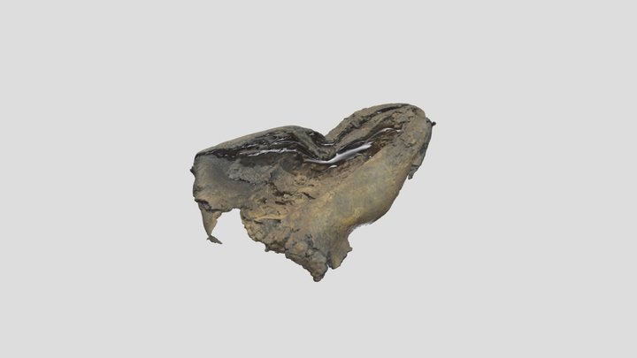 Shoe heel (AT-GM, STA-01485)