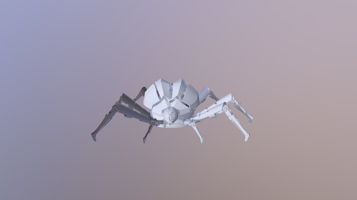 Pauk 3D Model