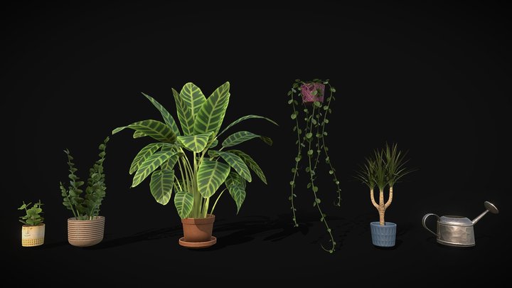 Sample Assets: Plants 3D Model