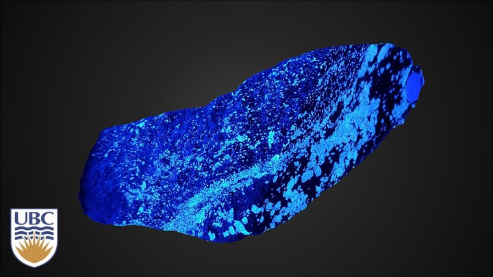 Uv-light 3D models - Sketchfab