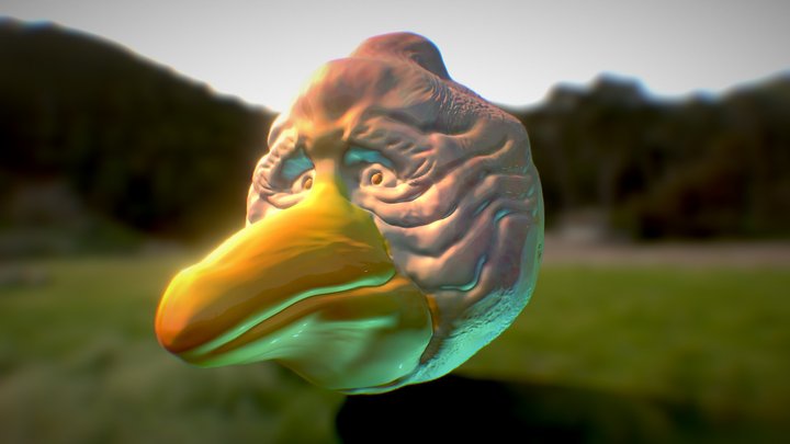 Big Beak Bird 3D Model