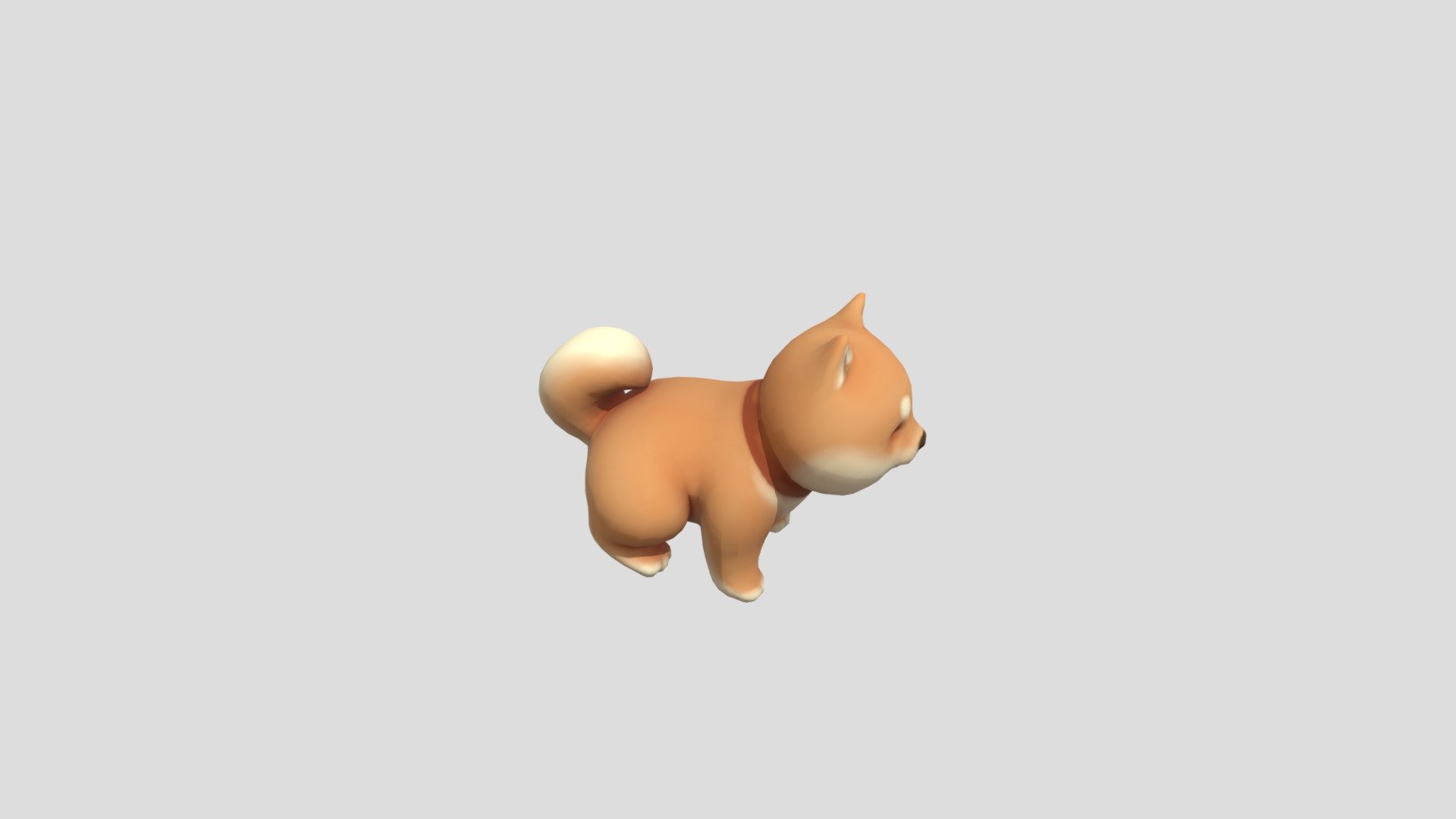 Chubby Shiba