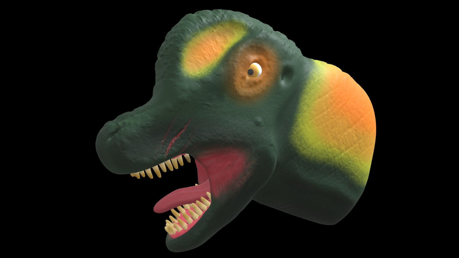 Sauropod