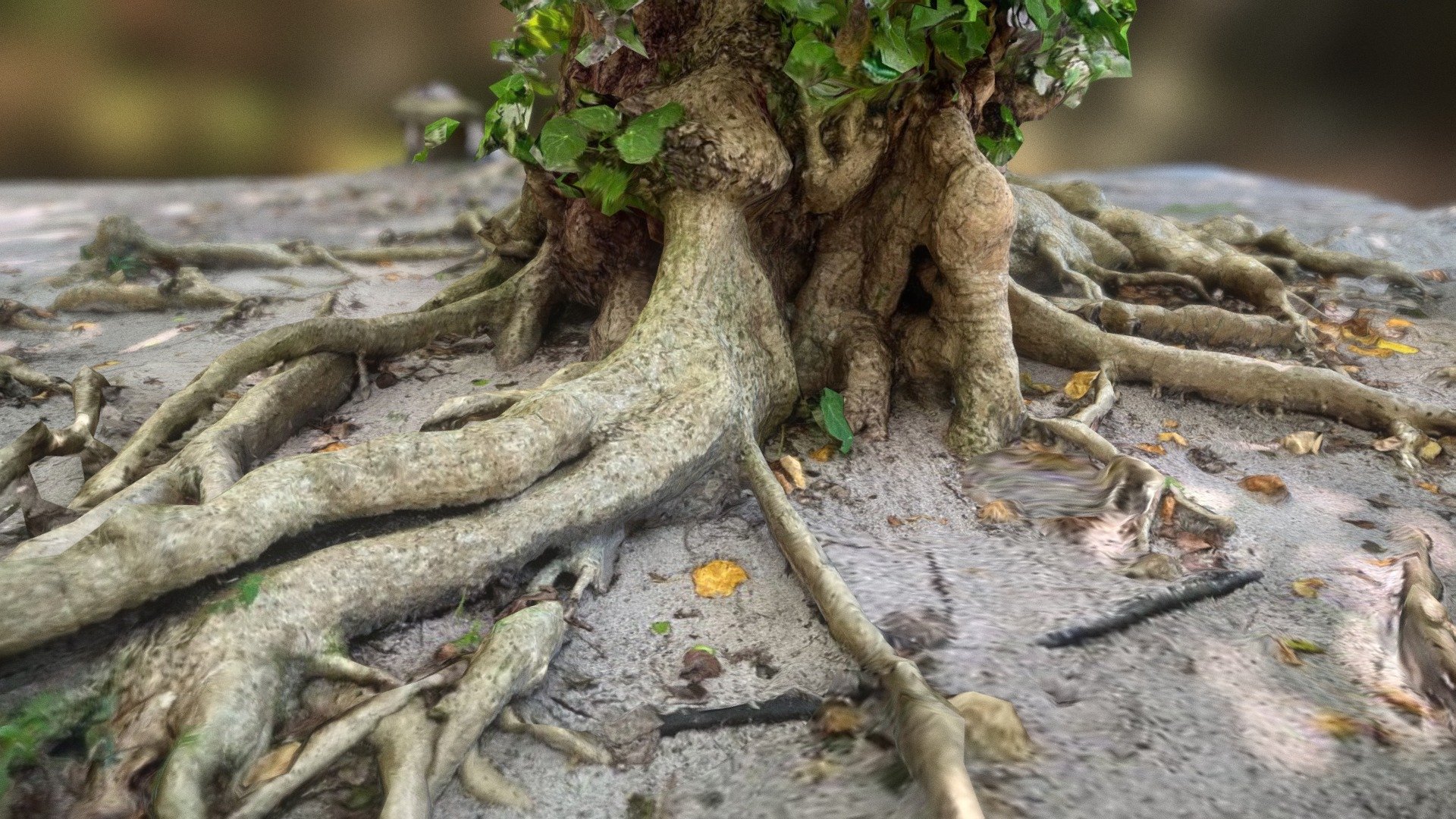 Metascan roots