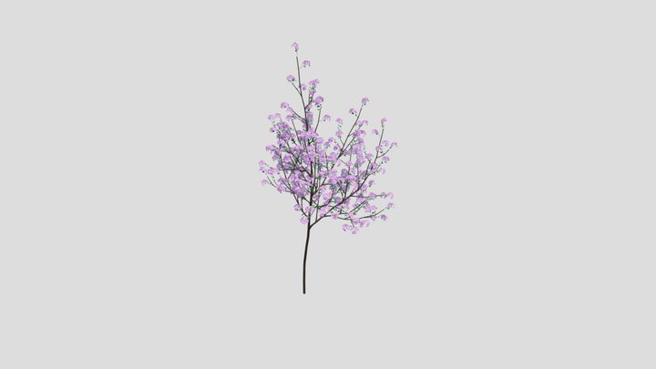 Blender紫薇(Lagerstroemia Indica) 3D Model