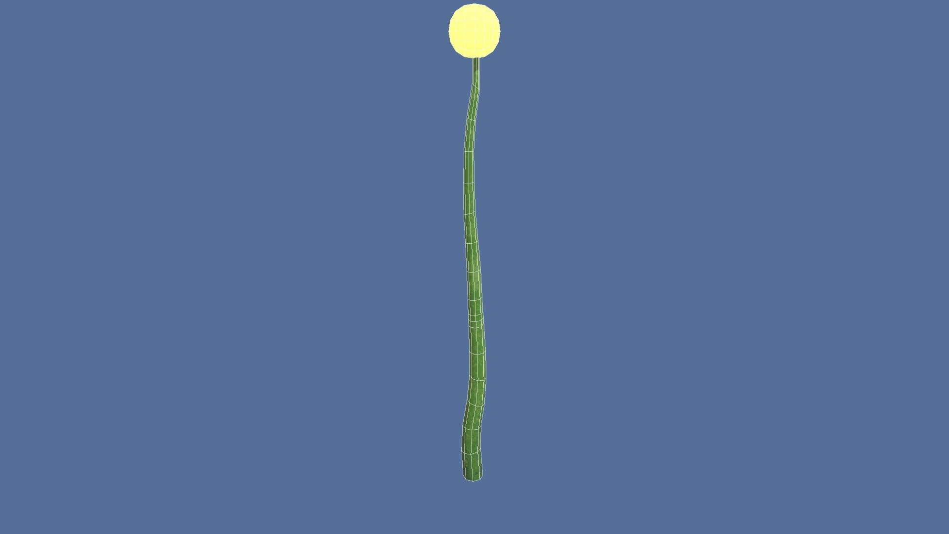 Woah a plant