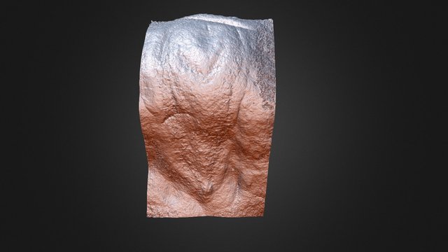 Slijpsteen of Slenaken - detail (NL) 3D Model