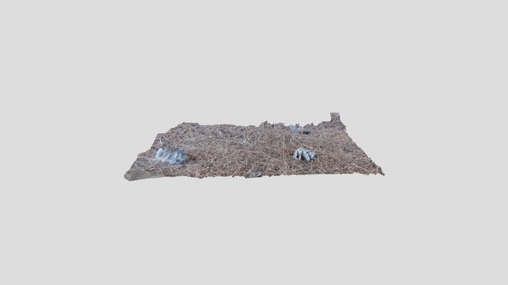 Pine Needles – Kostenloses 3D-Modell STL