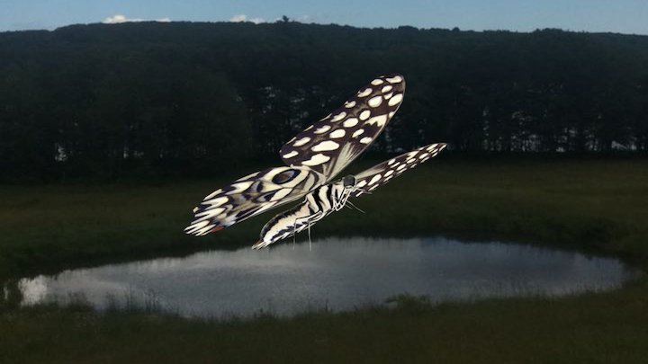 Sex Lies & Butterflies - original test 3D Model