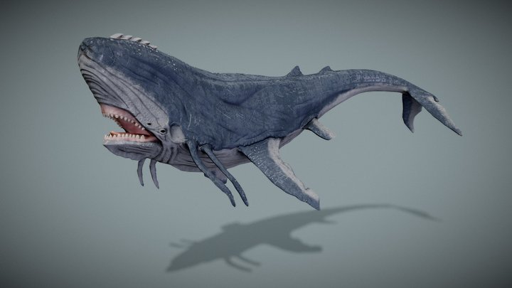 The Whale - Fan art 3D Model