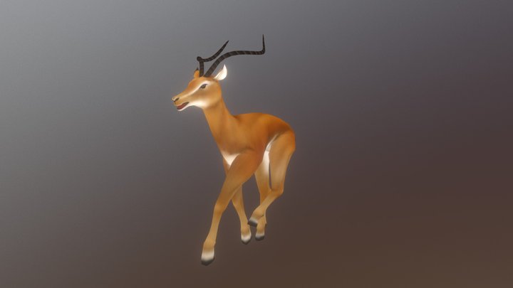 Antelope 3D Model