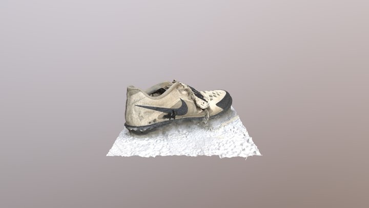 Throwing Shoe 3D Model