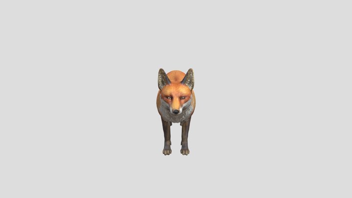 Realistic Fox 3D Model (Unrigged)