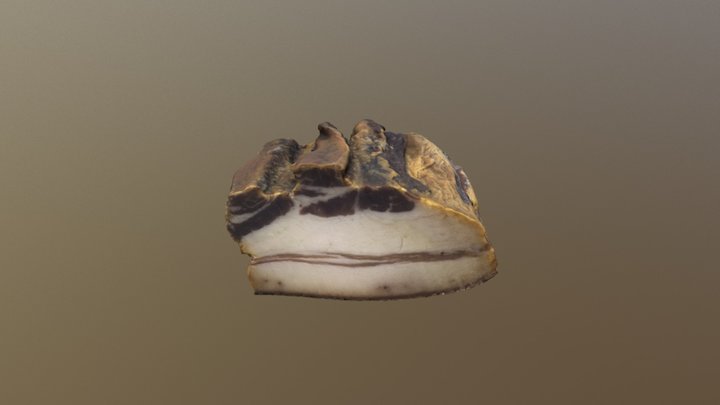 Scanned Bacon 3D Model