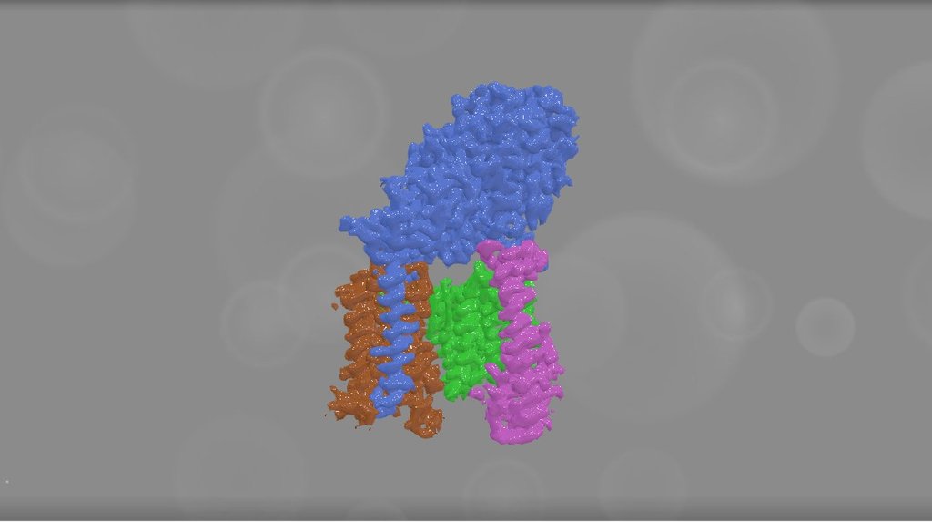 EMD 3061 - 3D model by Interactive 3D Data (@proteinsimulation ...