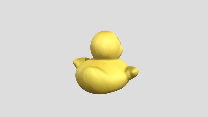 New Model 3D Model