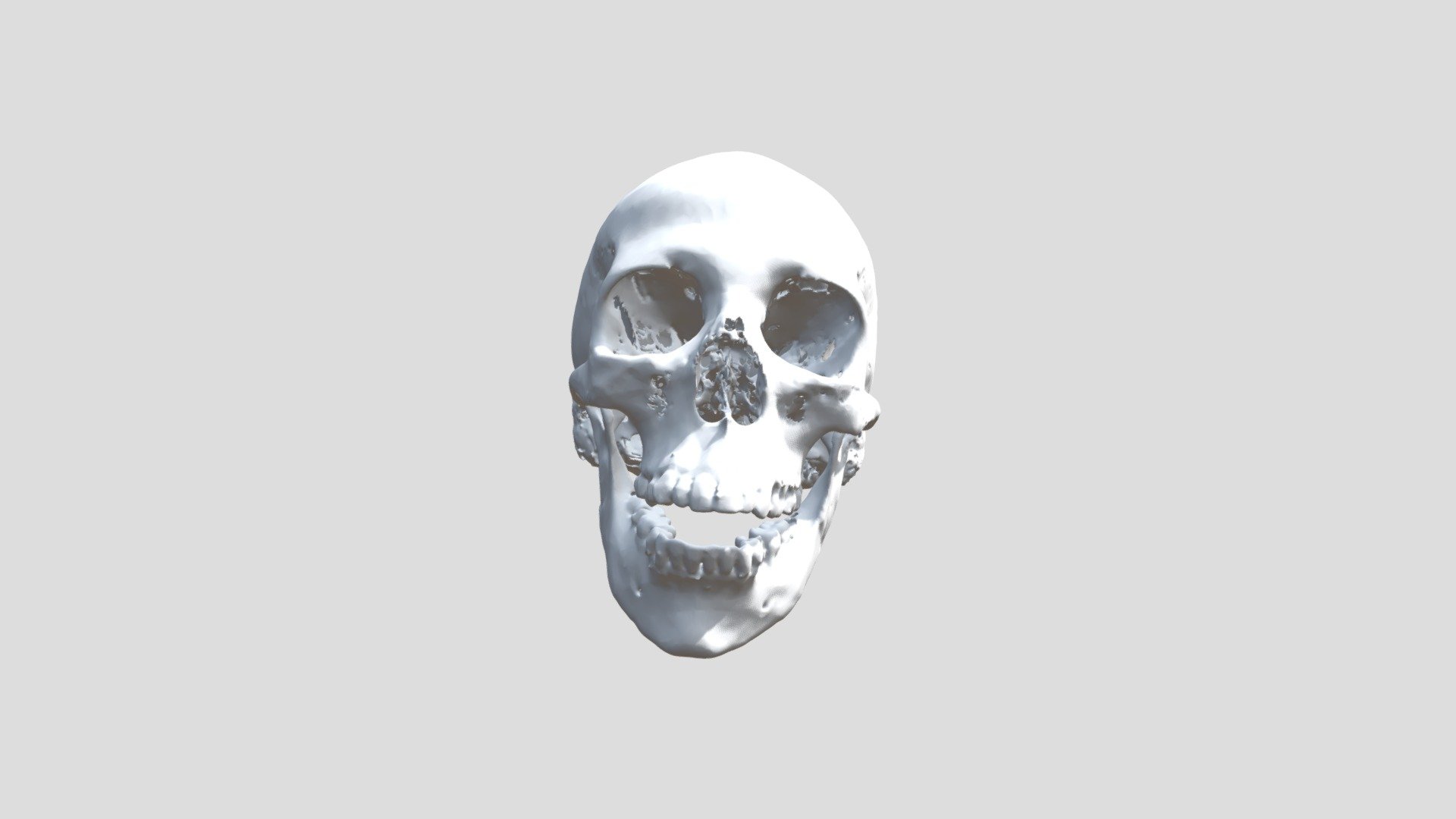 Nesiur Skull From CT Scan (VCU_3D_5171)