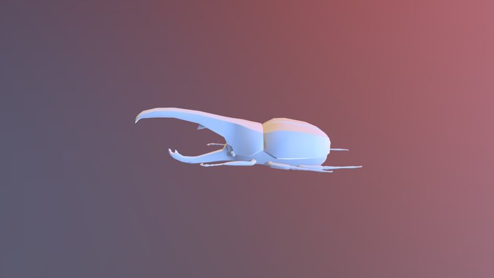 Insect Blender 3D Model