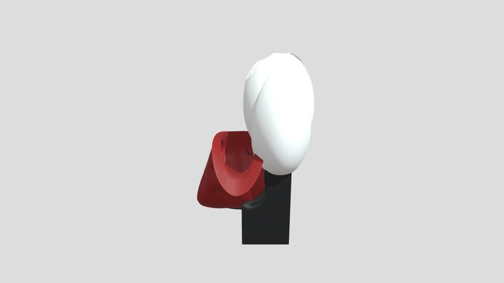 My model 3D Model