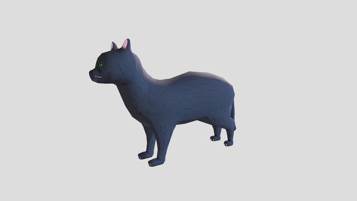 Gato - Avaliacao C - Modelagem 3D Model