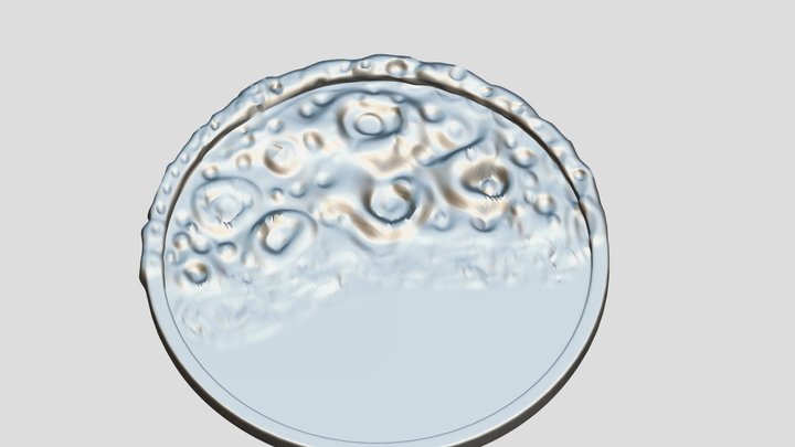 054 Moon_parcicle 3D Model