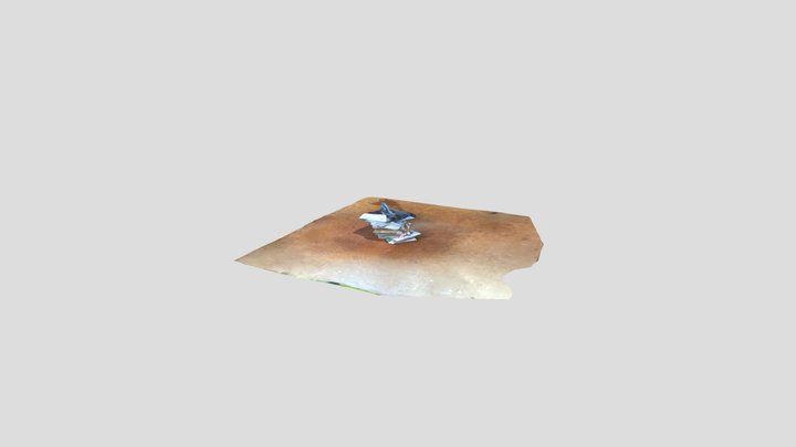 Pile #6 3D Model