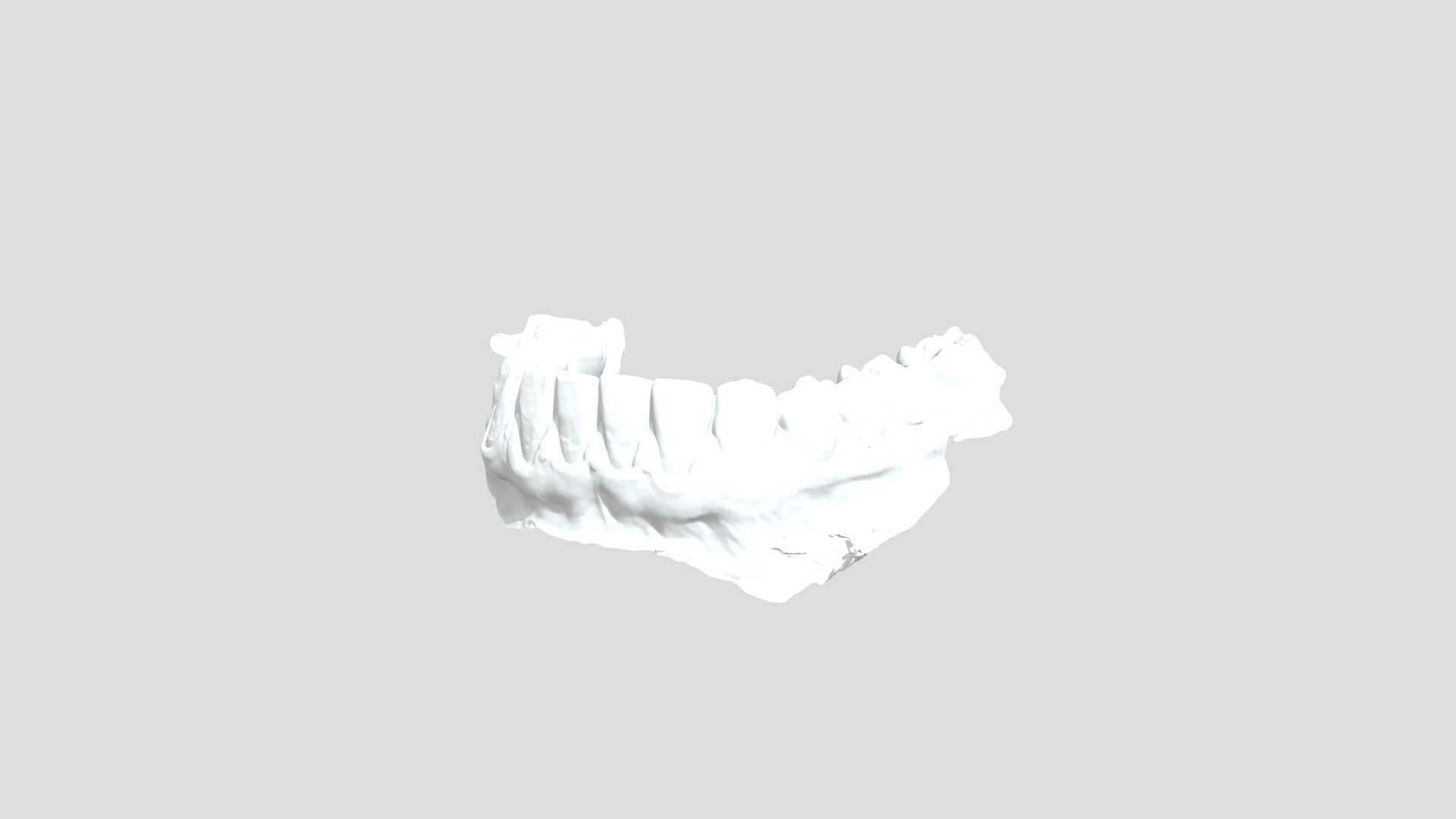 Claudia Lampies Lower Jaw - 3d Model By Milad32730 [a9f66d1] - Sketchfab