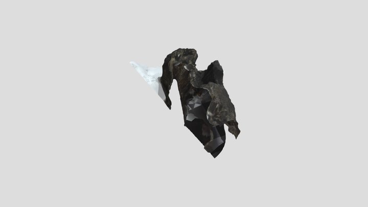 Tree Mold 3D Model