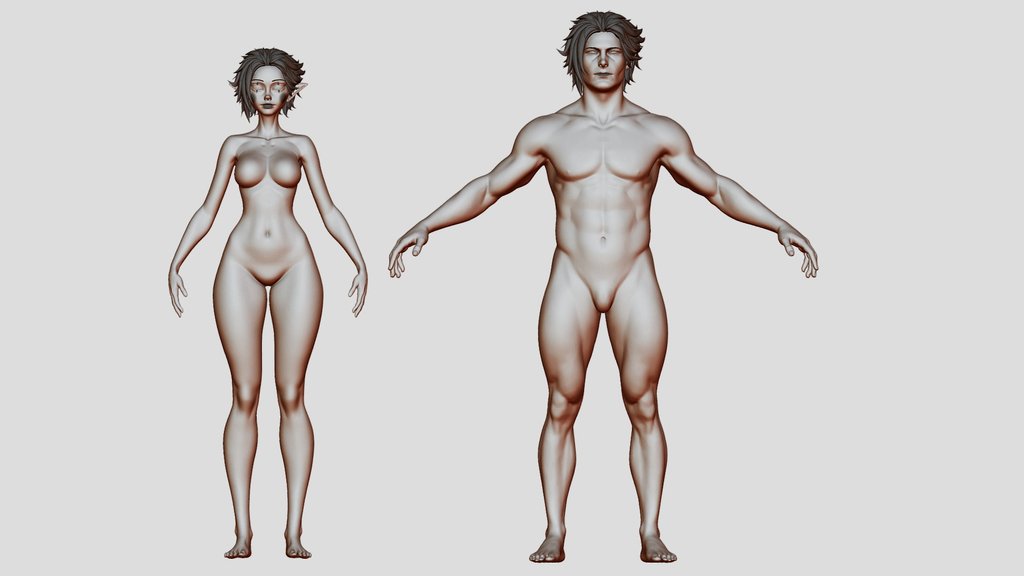 female n male base mesh study