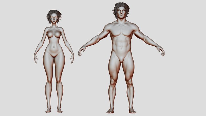 female n male base mesh study 3D Model