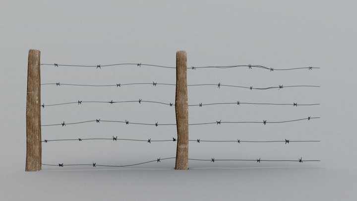 Wire Fence 3D Model