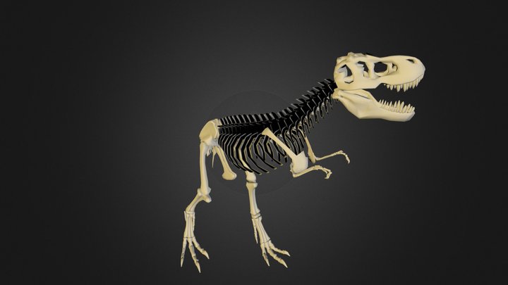 t-rex.FBX 3D Model