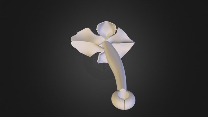 Flower plus a (partial) ring.STL 3D Model