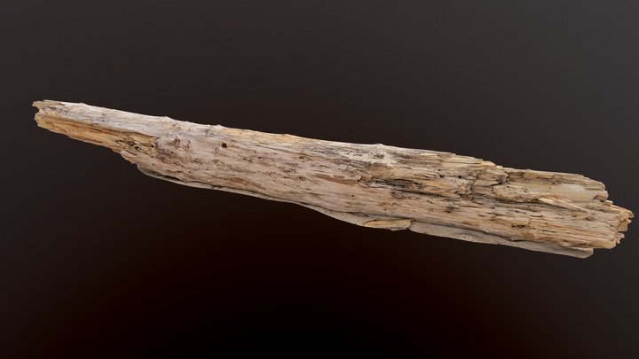 Driftwood_001_(object_on_the_beach) – Modello 3D gratuito STL