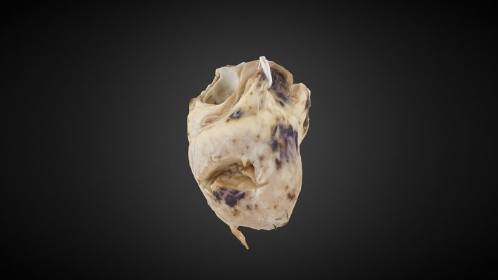 105 3D Model