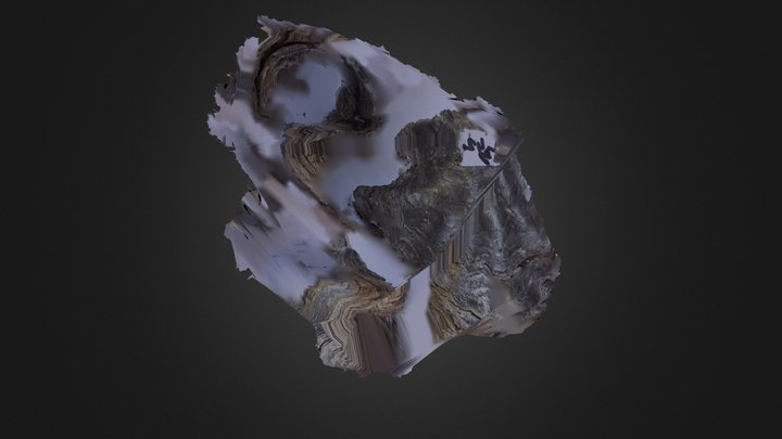 342 Fbx 3D Model